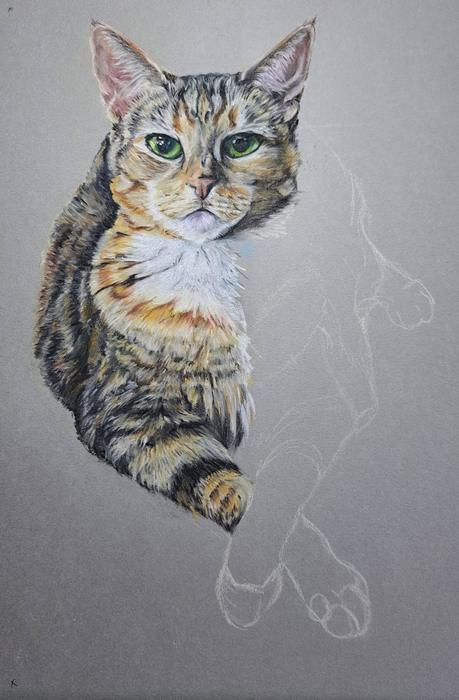 The pastel half finished