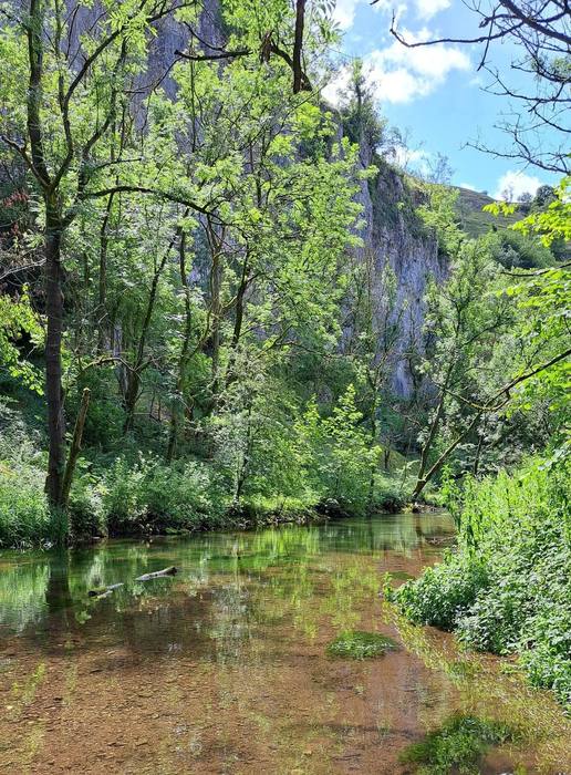 Reference photo: The River Wye at Litton