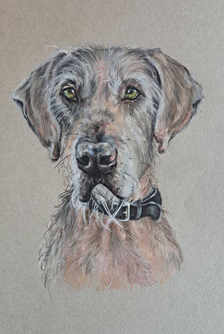 Archie, pastel