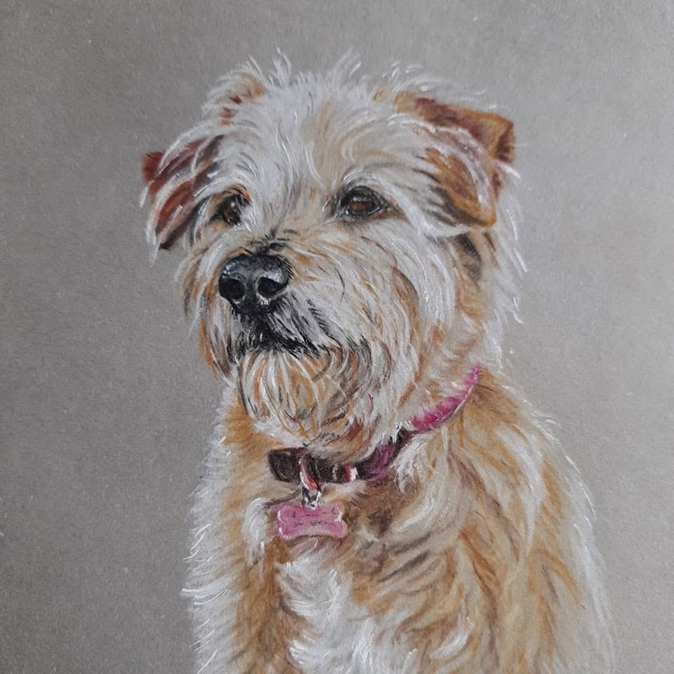 Bella, Helen’s own wheaten terrier, pastel