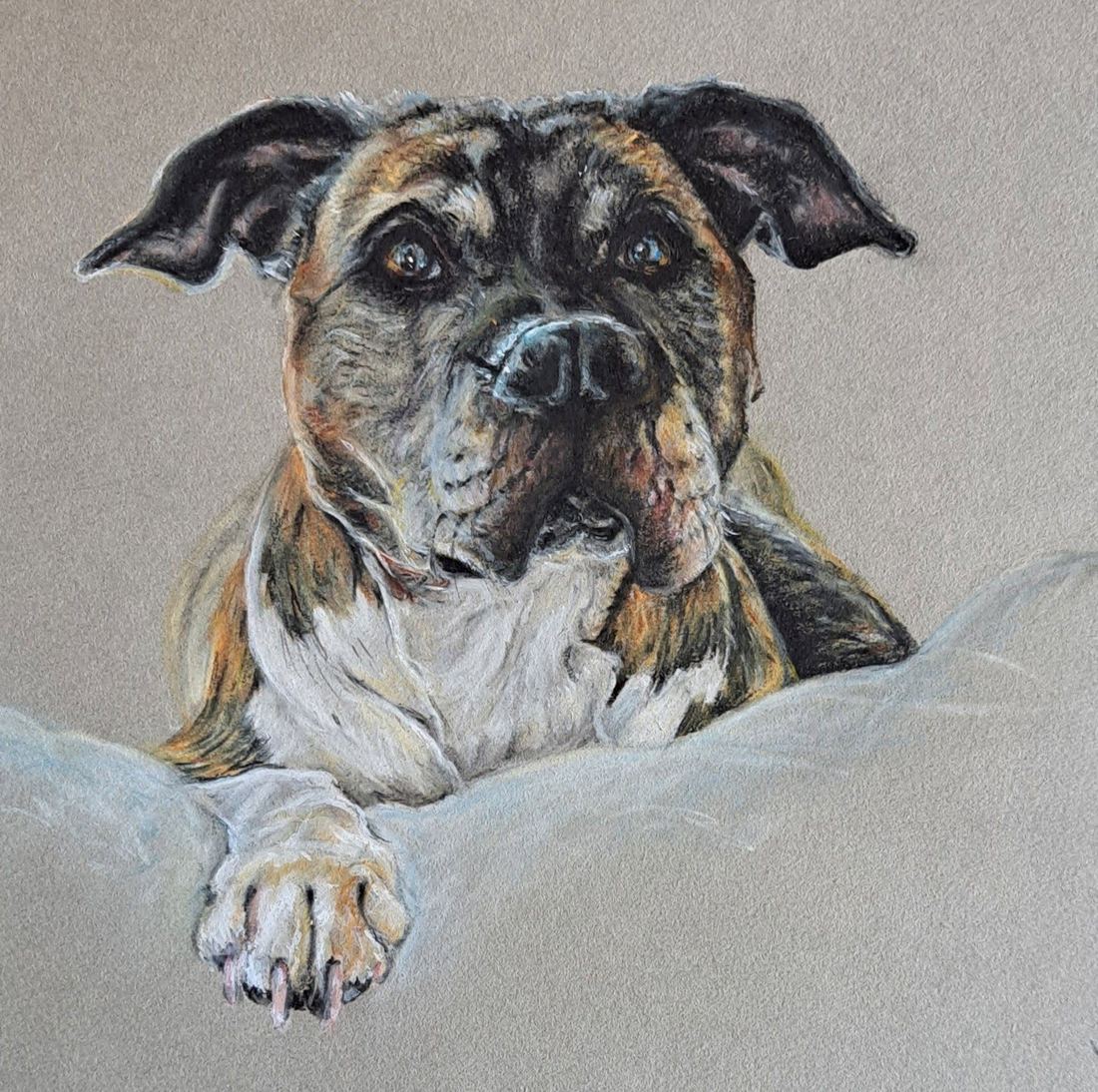Buster, pastel