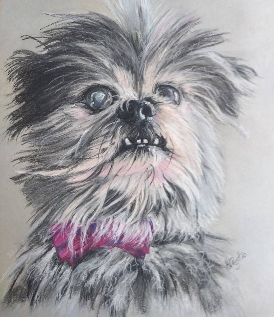 Frank, in his bow tie, pastel
