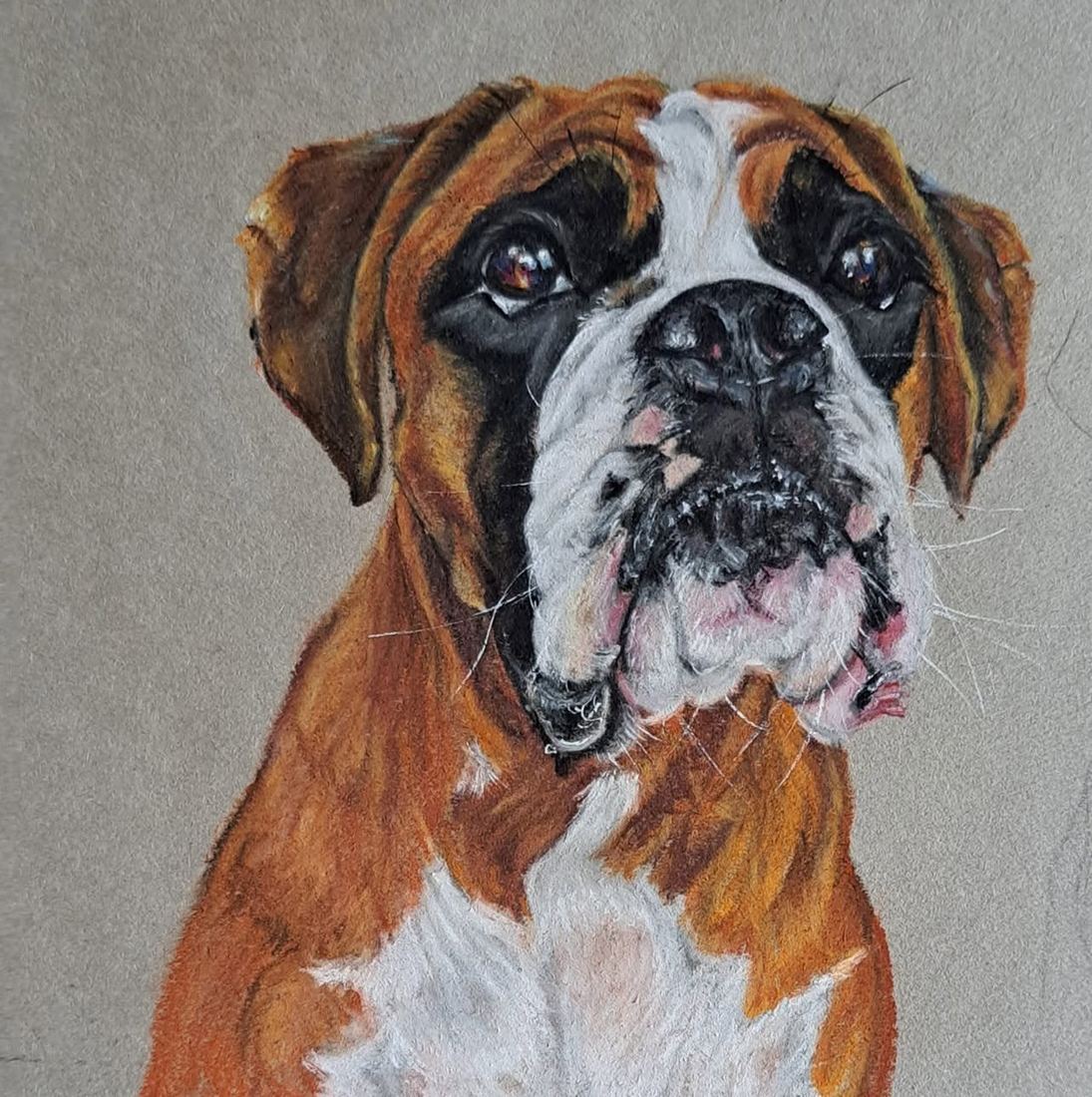 Maya, boxer, pastel