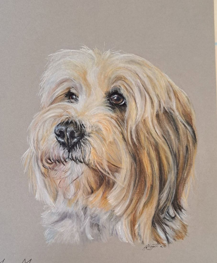 Pastel of Maya
