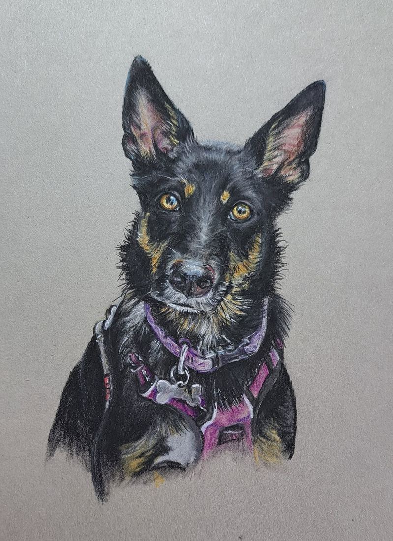 Shepherd cross, pastel