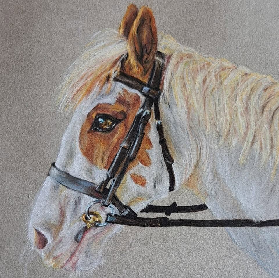 Skewbald pony, pastel