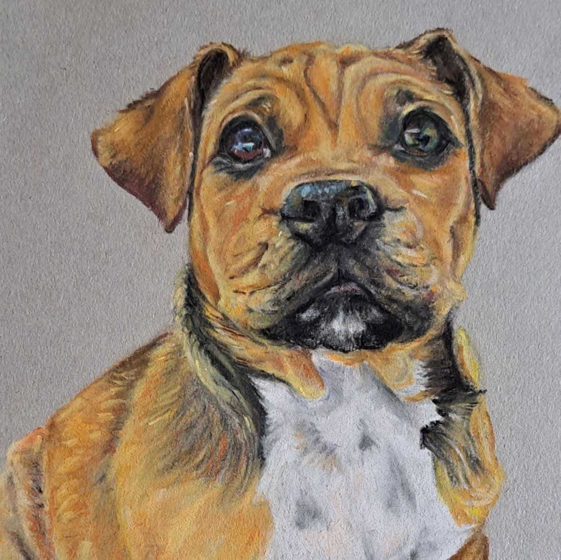 Staffie puppy, pastel