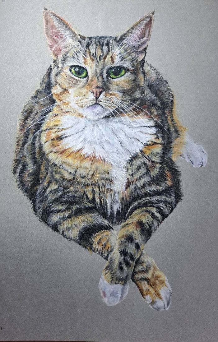 Tabby and white cat, pastel