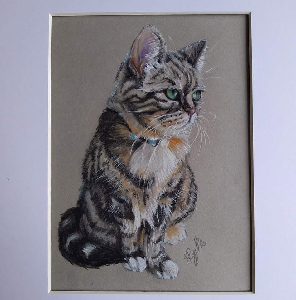 Tabby cat, mounted, pastel