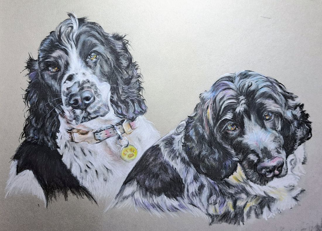 Two spaniels, pastel